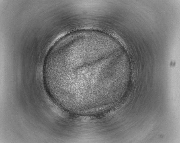 X0000094810482200711301555