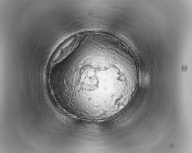 X0000094810483200711301555