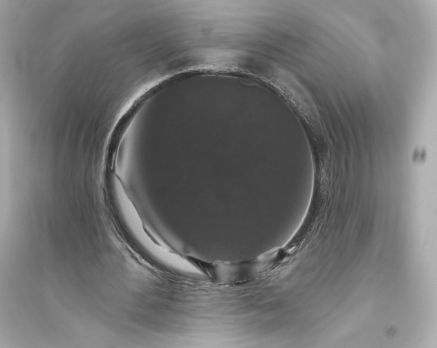 X0000094810484200711301555