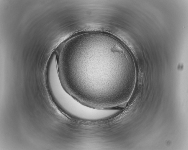 X0000094810485200711301555