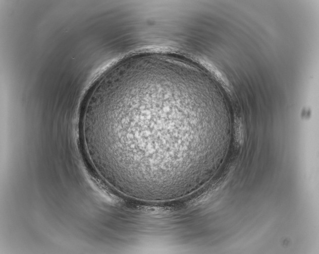 X0000094810486200711301555