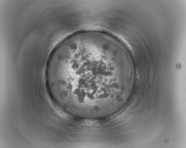 X0000094810487200711301555