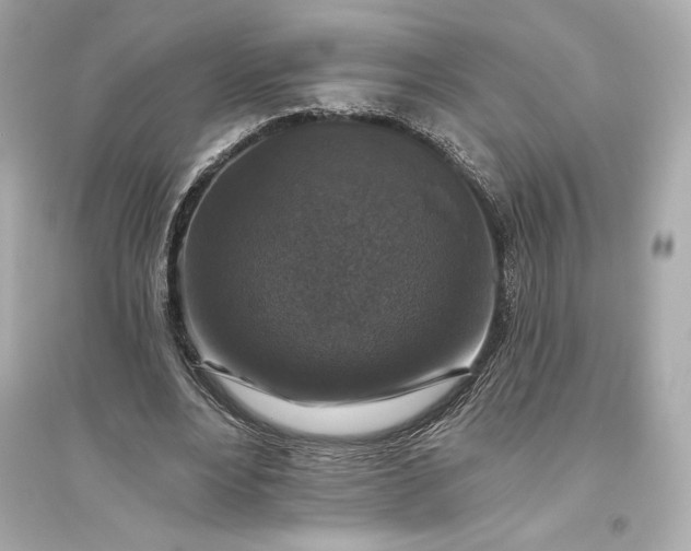 X0000094810488200711301555