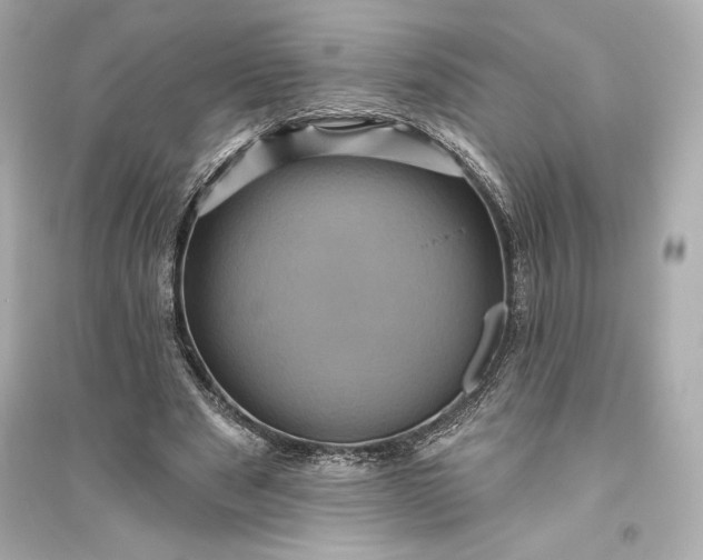 X0000094810489200711301555