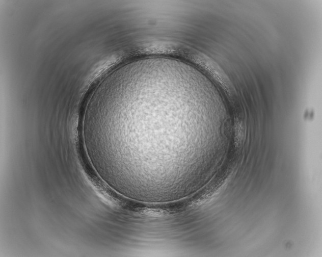 X0000094810490200711301555