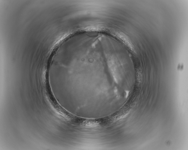 X0000094810491200711301554