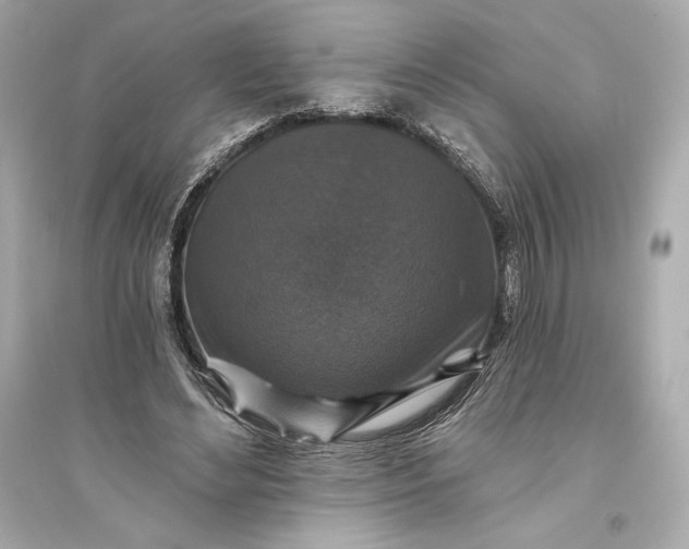 X0000094810492200711301554