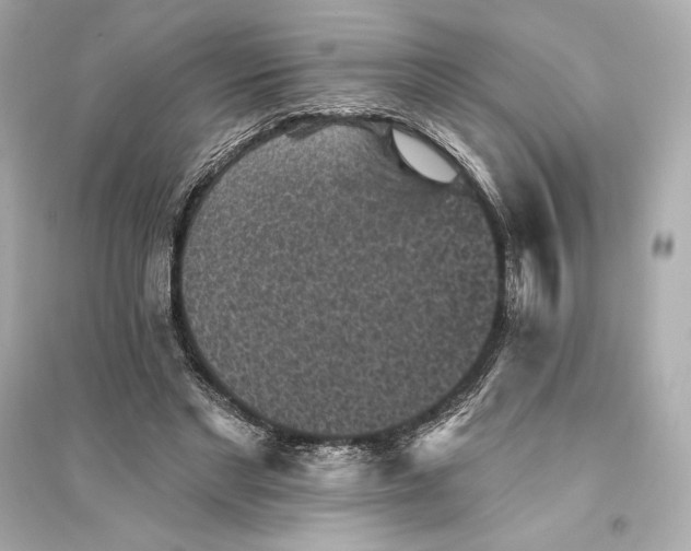 X0000094810493200711301554