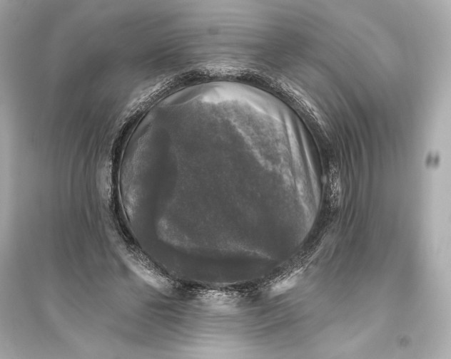 X0000094810494200711301554