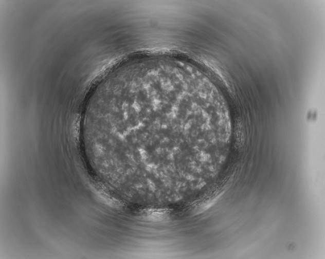 X0000094810495200711301554