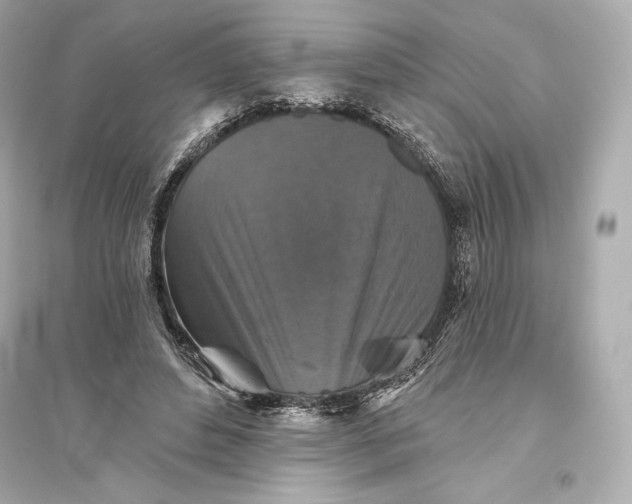 X0000094810496200711301554