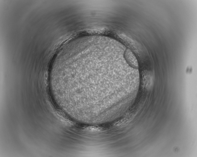 X0000094810498200711301554