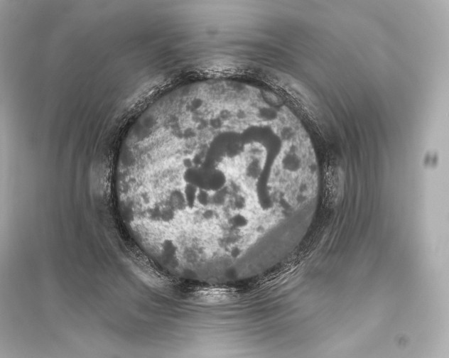 X0000094810499200711301554