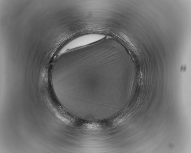 X0000094810500200711301554