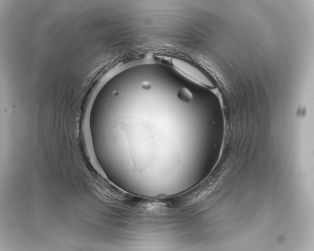 X0000094810501200711301554