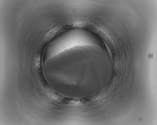 X0000094810502200711301554