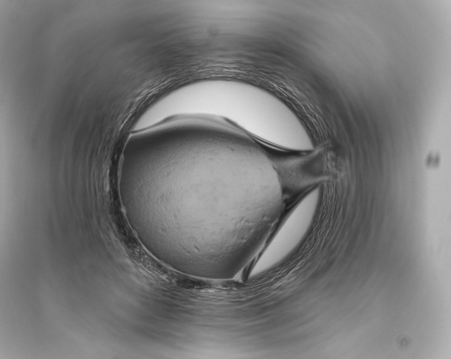 X0000094810504200711301554