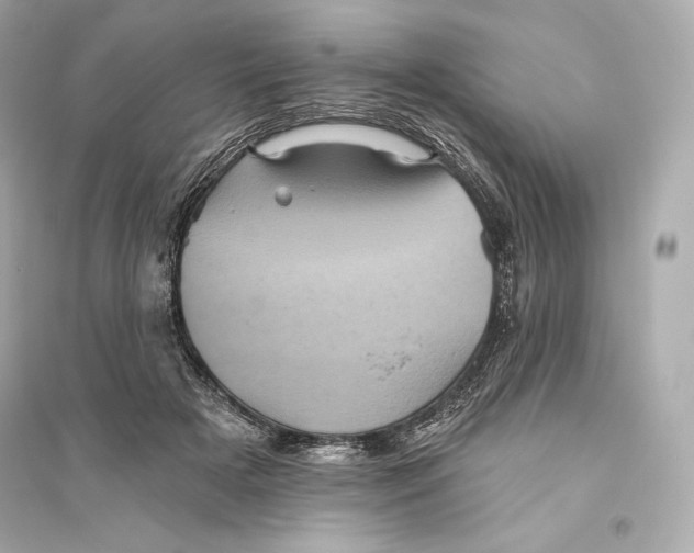 X0000094810505200711301554