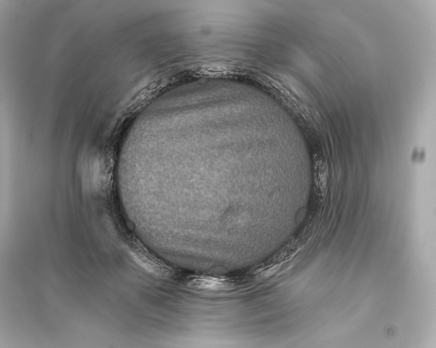 X0000094810507200711301554