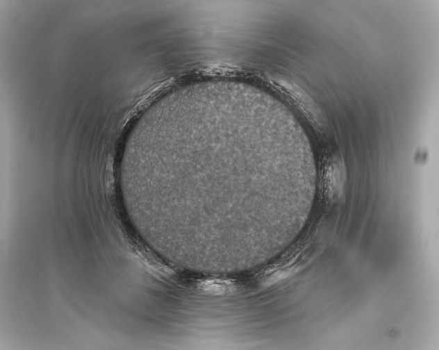 X0000094810508200711301554