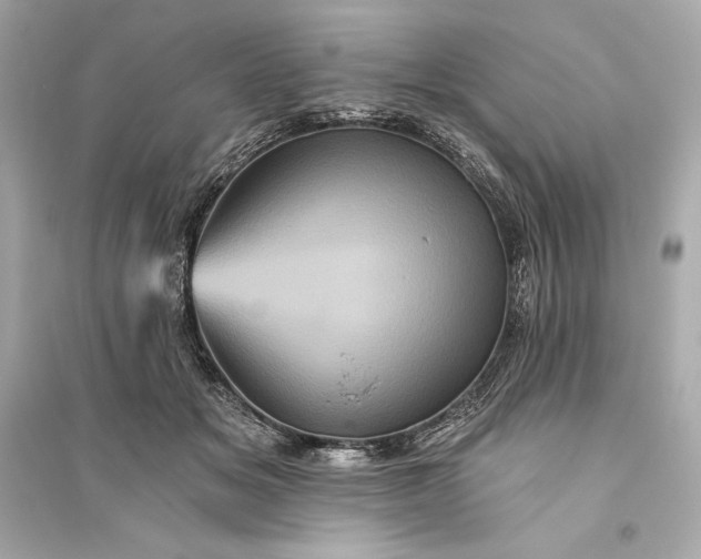 X0000094810509200711301554