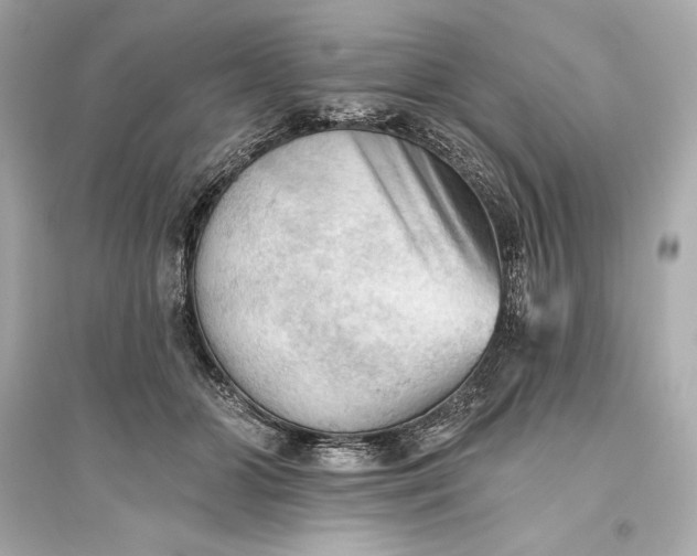 X0000094810510200711301554