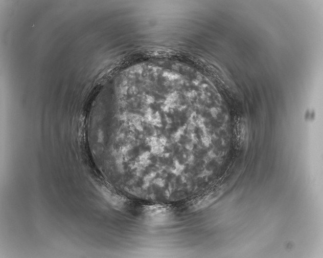 X0000094810511200711301554