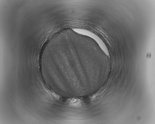 X0000094810512200711301554