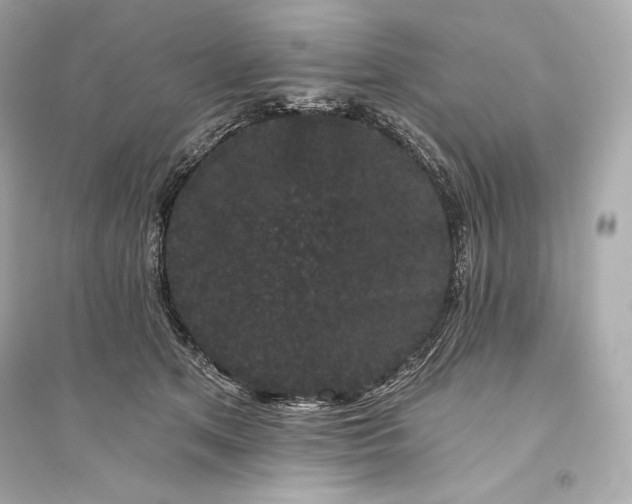 X0000094810513200711301554