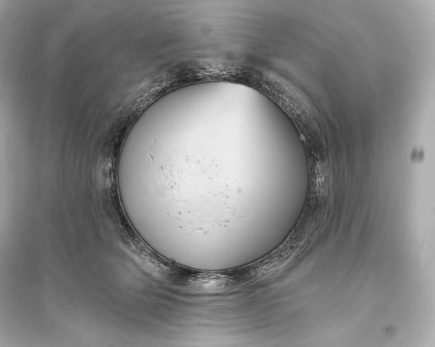 X0000094810514200711301554