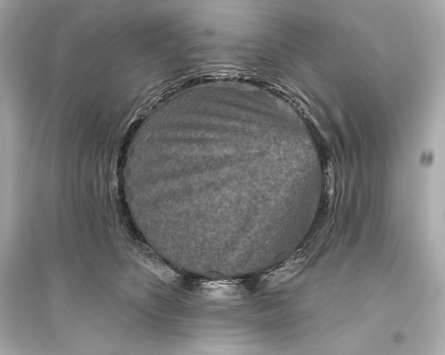 X0000094810516200711301554