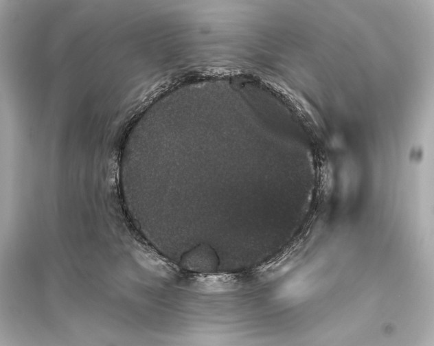 X0000094810517200711301554