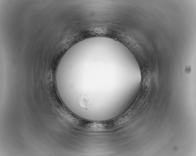 X0000094810518200711301554