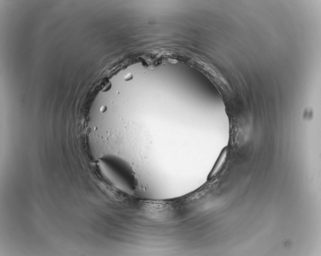 X0000094810521200711301554