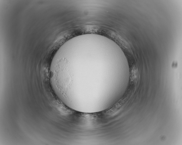 X0000094810522200711301554