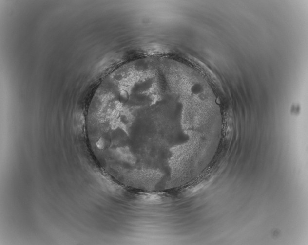 X0000094810523200711301554