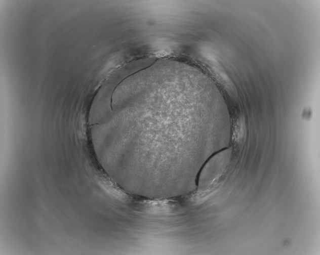 X0000094810524200711301554