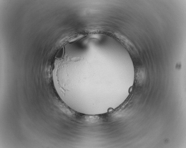 X0000094810525200711301554