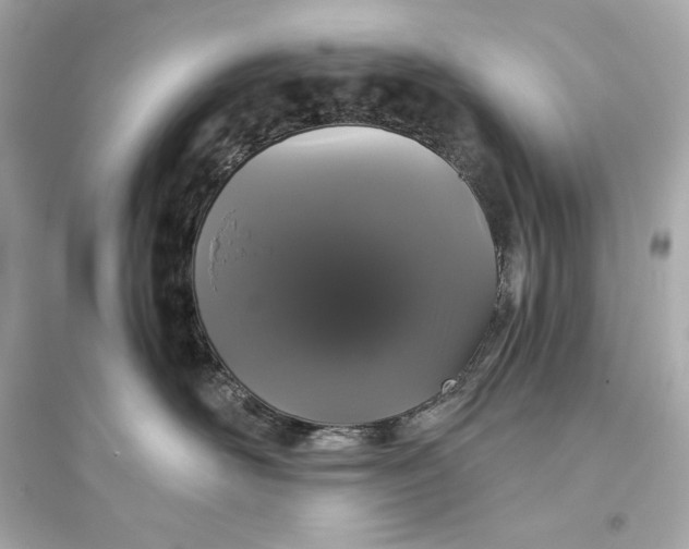 X0000094810526200711301554