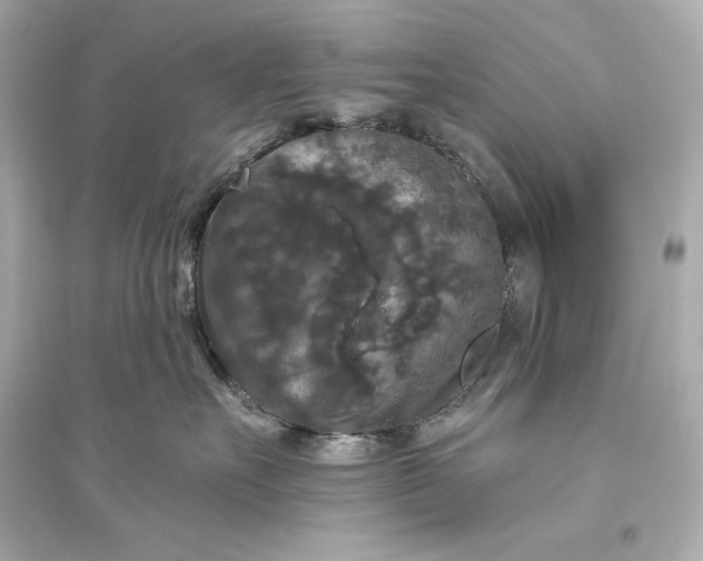 X0000094810527200711301554