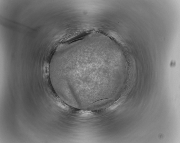 X0000094810528200711301554