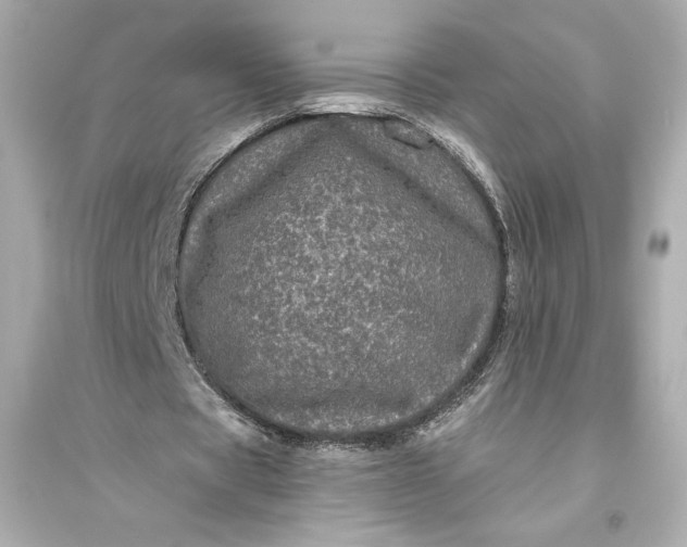 X0000094810529200711301553