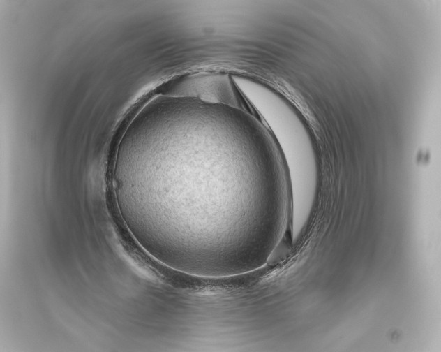 X0000094810530200711301553