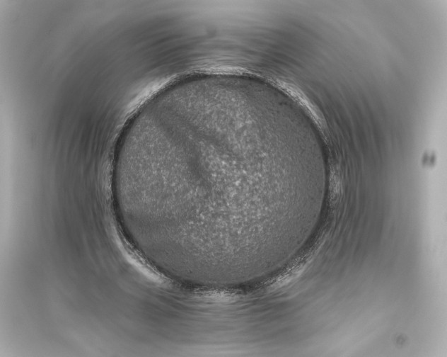 X0000094810533200711301553