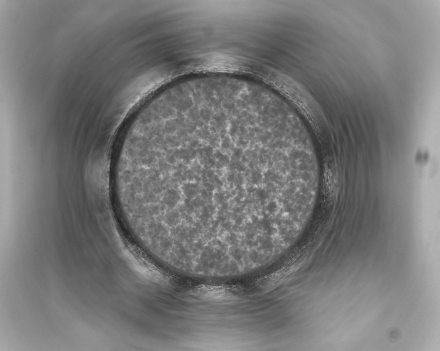 X0000094810534200711301553