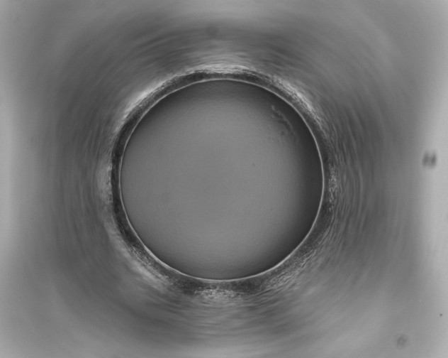 X0000094810535200711301553