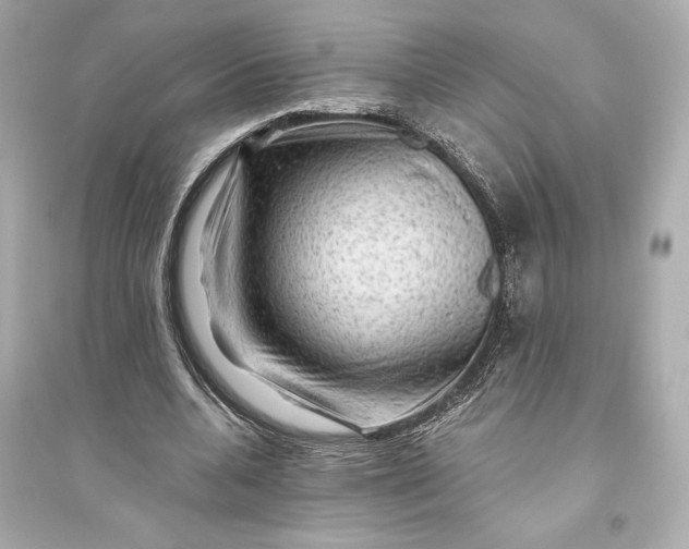 X0000094810536200711301553