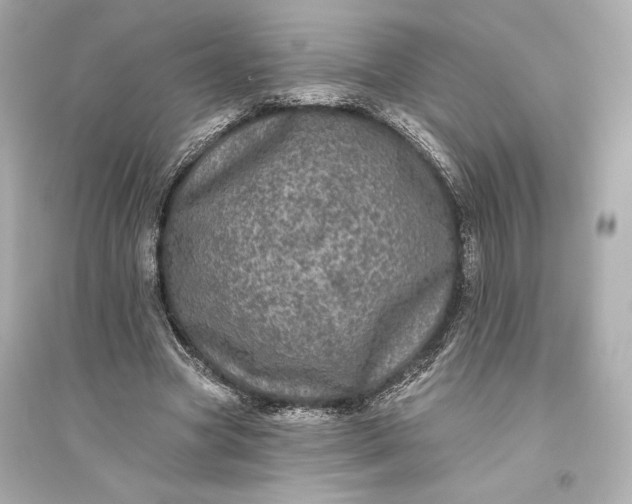 X0000094810537200711301553