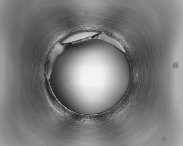 X0000094810538200711301553