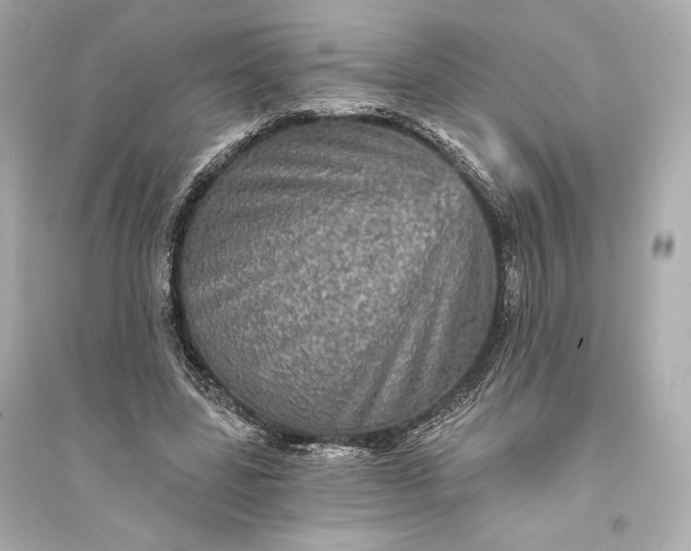 X0000094810539200711301553